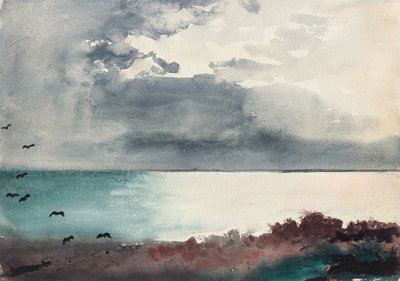 Tempête éclatante, côte du Maine - Winslow Homer