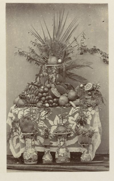 Nature morte de fruits tropicaux - Woodbury and Page