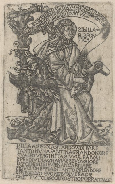 Sibylle Helléspontique - after Baccio Baldini