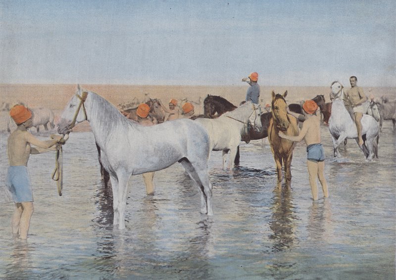 Bain de Mer - (after) French Photographer