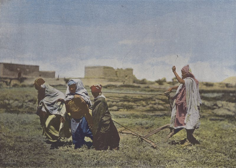 Le Labourage en Kabylie - (after) French Photographer