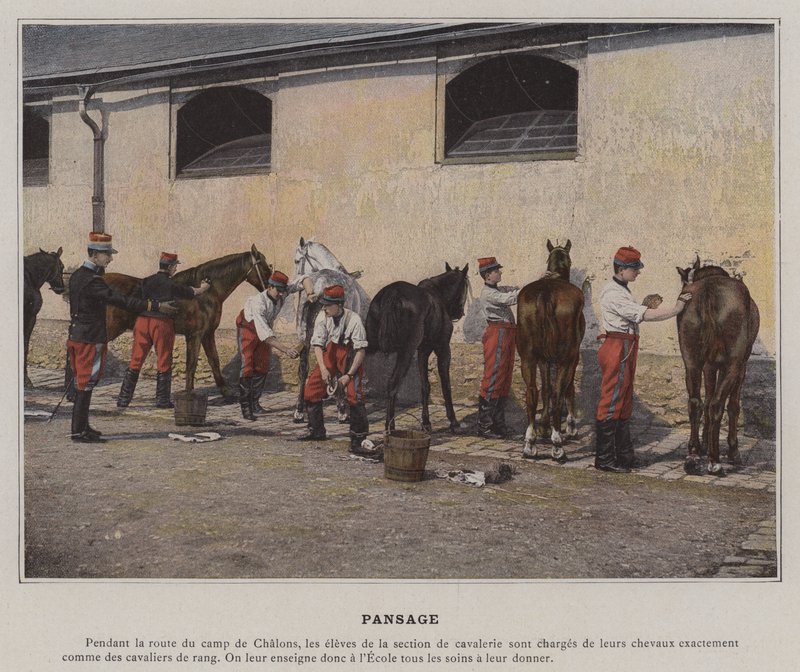 Pansage (photo en couleur) - (after) French Photographer