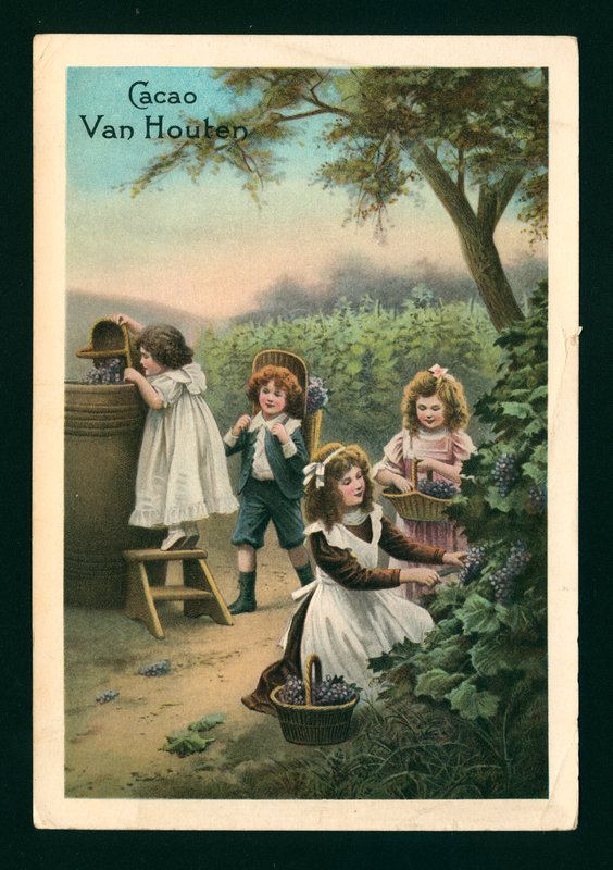 Enfants cueillant des raisins - (after) French School
