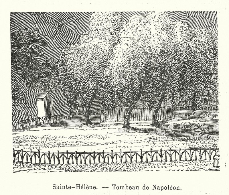 Sainte-Hélène, Tombeau de Napoléon (gravure) - (after) French School