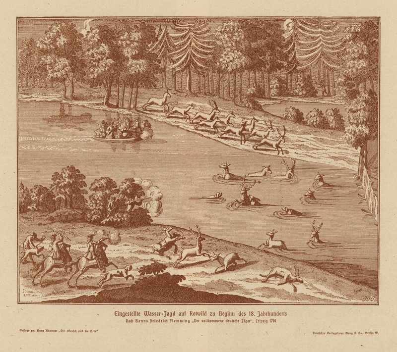Chasse au cerf utilisant un piège à eau - (after) German School