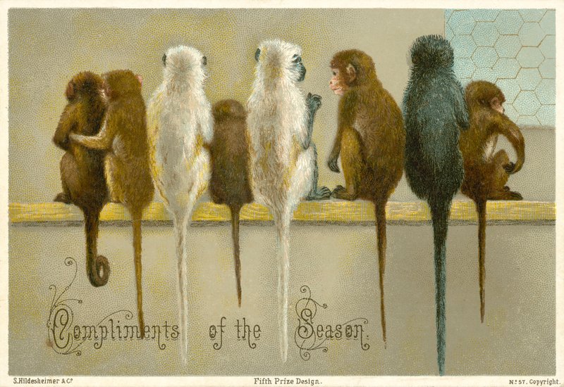 Carte de vœux - American School