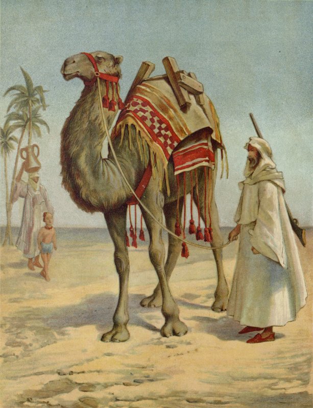 Un marchand arabe - English School
