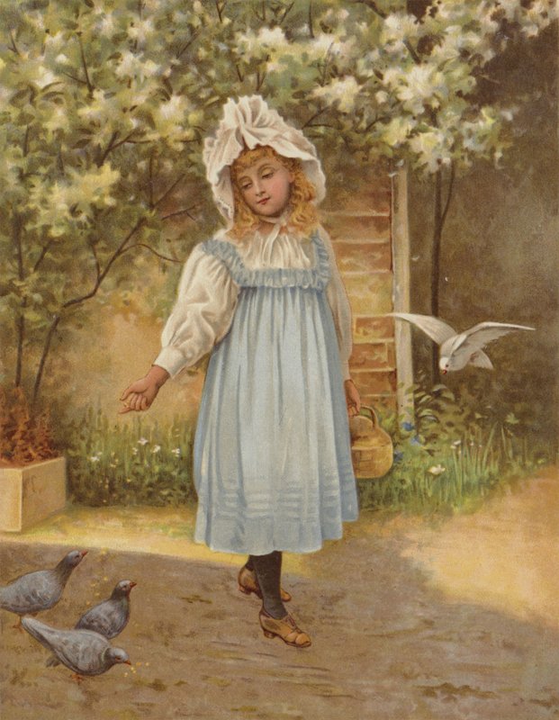 Innocence - English School