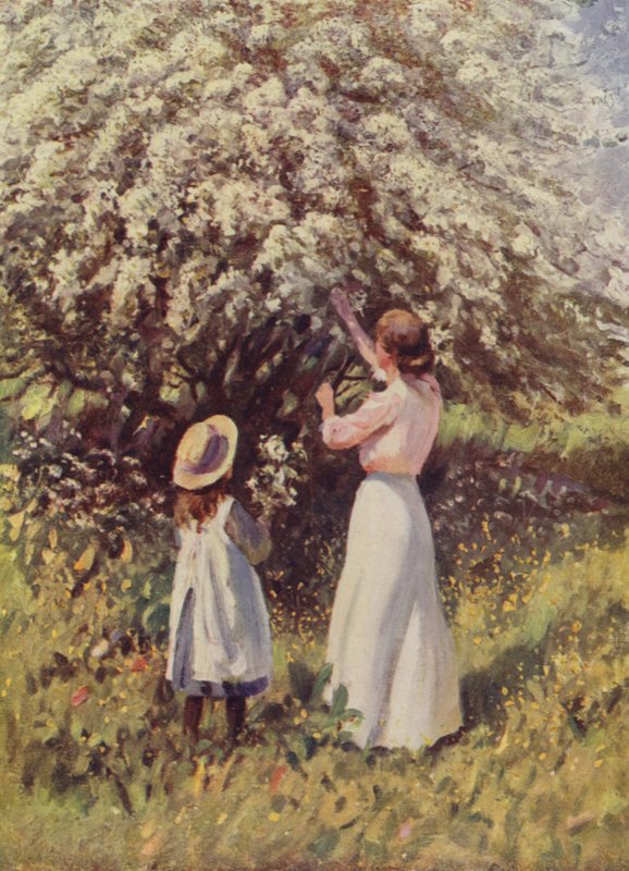 Fleur de mai - English School