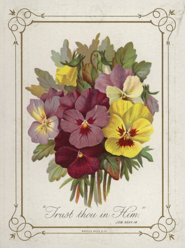 Bouquet de fleurs - English School