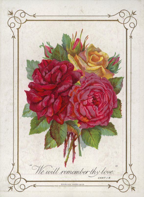 Bouquet de fleurs - English School