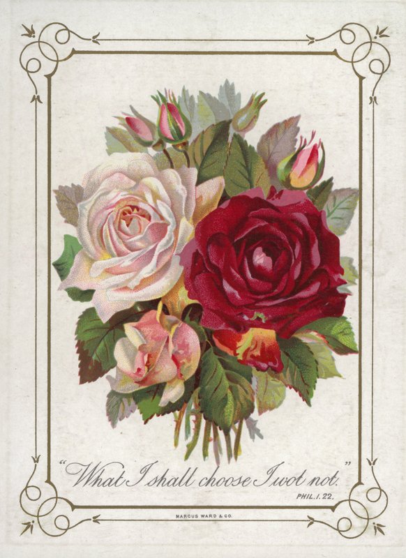 Bouquet de fleurs - English School