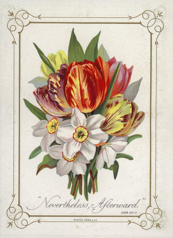 Bouquet de fleurs - English School