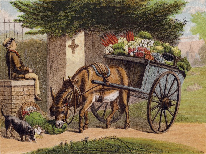 Le garçon paresseux - English School