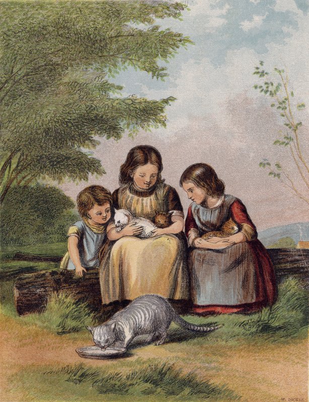Les chatons de compagnie - English School