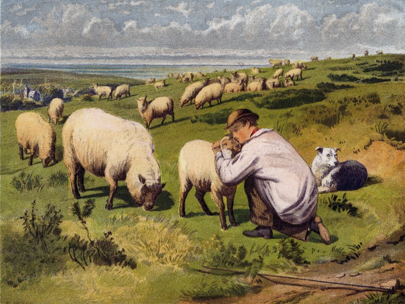 Le jeune berger - English School