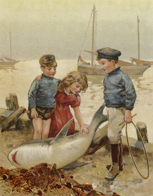 Qui a cassé le filet de papa? - English School