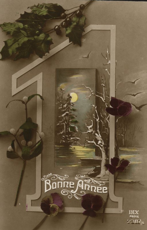 Carte de Nouvel An - French Photographer