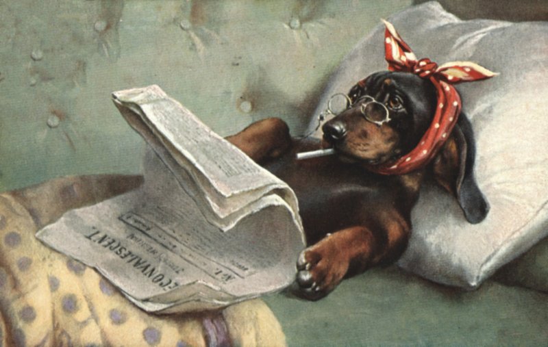 Chien lisant un journal - French School