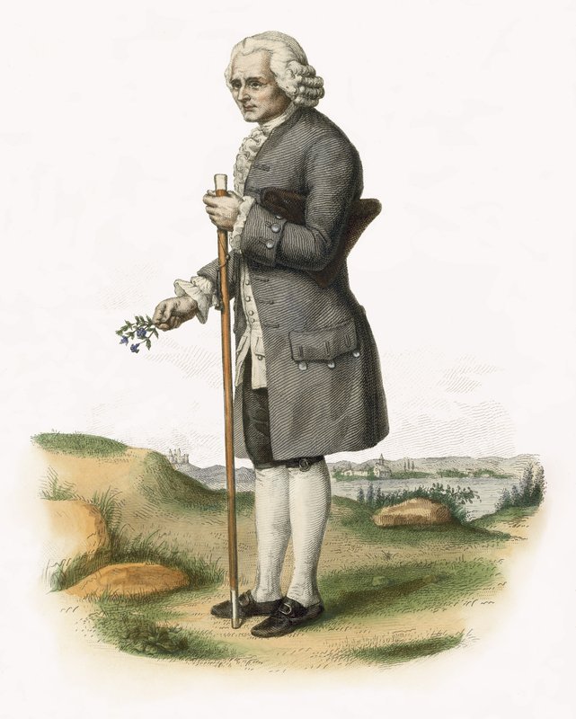 Jean-Jacques Rousseau - French School