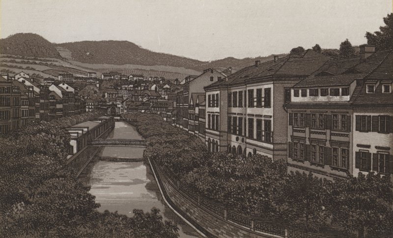 Alte und Neue Wiese - German School