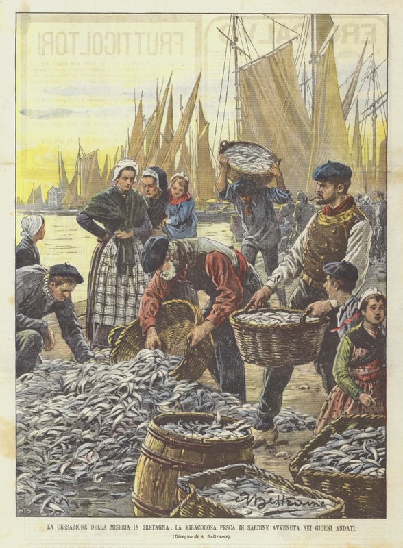 La fin de la misère en Bretagne, la pêche miraculeuse de sardines des jours passés - Achille Beltrame