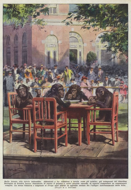 De la forêt à la table dressée - Achille Beltrame