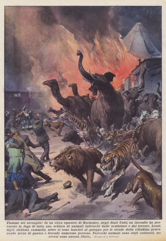 Flammes dans le sérail! - Achille Beltrame