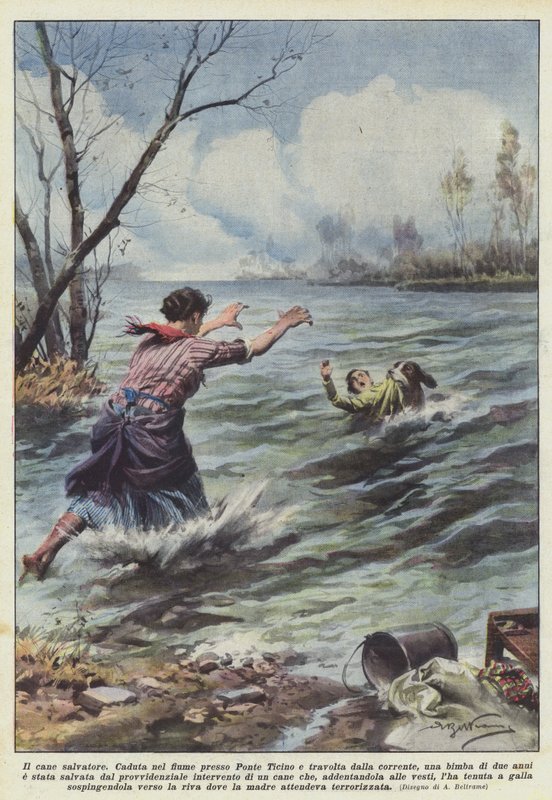 Le chien sauveteur - Achille Beltrame