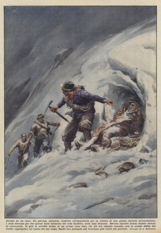 Sauvé par un chien - Achille Beltrame
