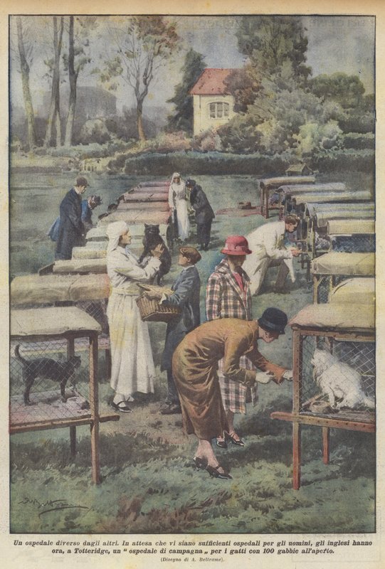 Un hôpital différent des autres - Achille Beltrame