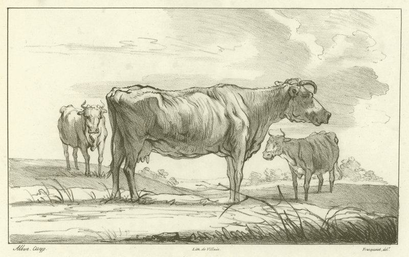Trois vaches - Aelbert Cuyp