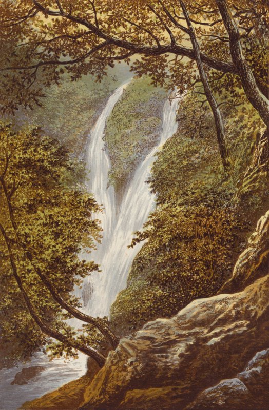 Stock Gill Force - Alexander Francis Lydon