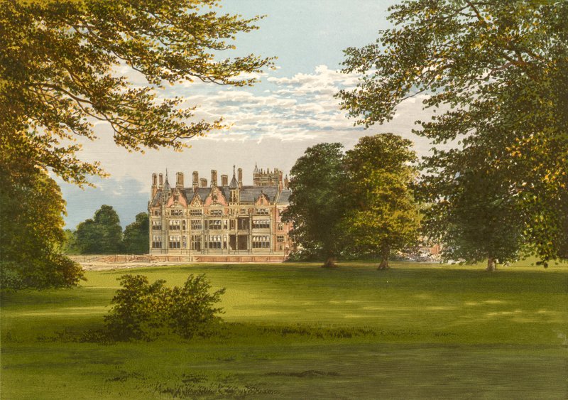 Bearwood - Alexander Francis Lydon