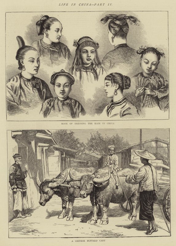 La vie en Chine, Partie IV - Alfred Chantrey Corbould