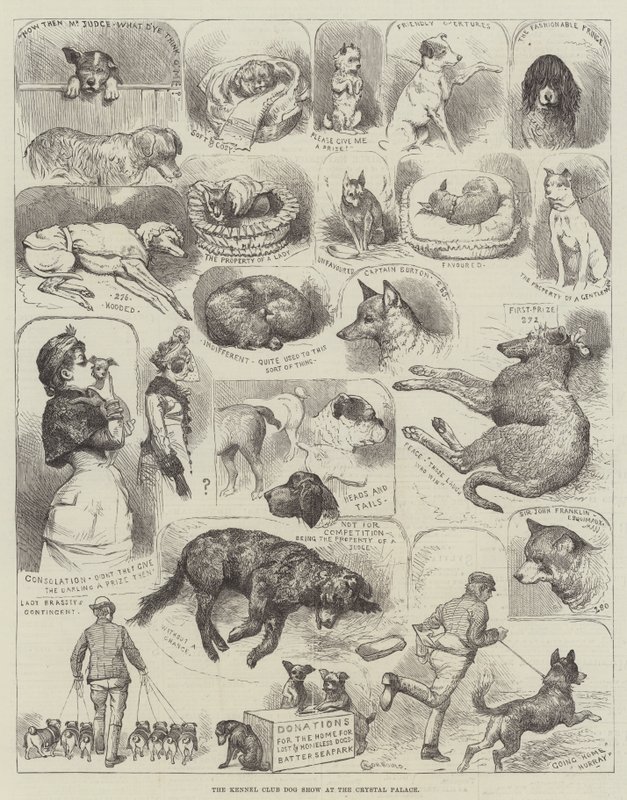 Exposition canine du Kennel Club au Crystal Palace - Alfred Courbould