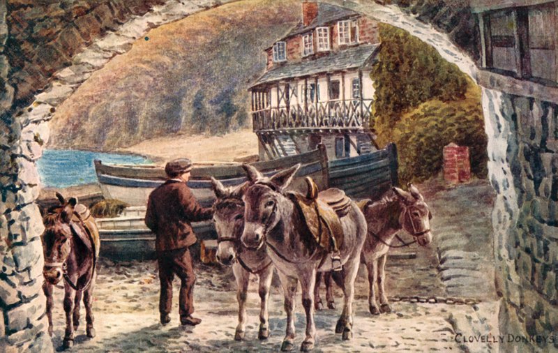 Ânes de Clovelly - Alfred Robert Quinton