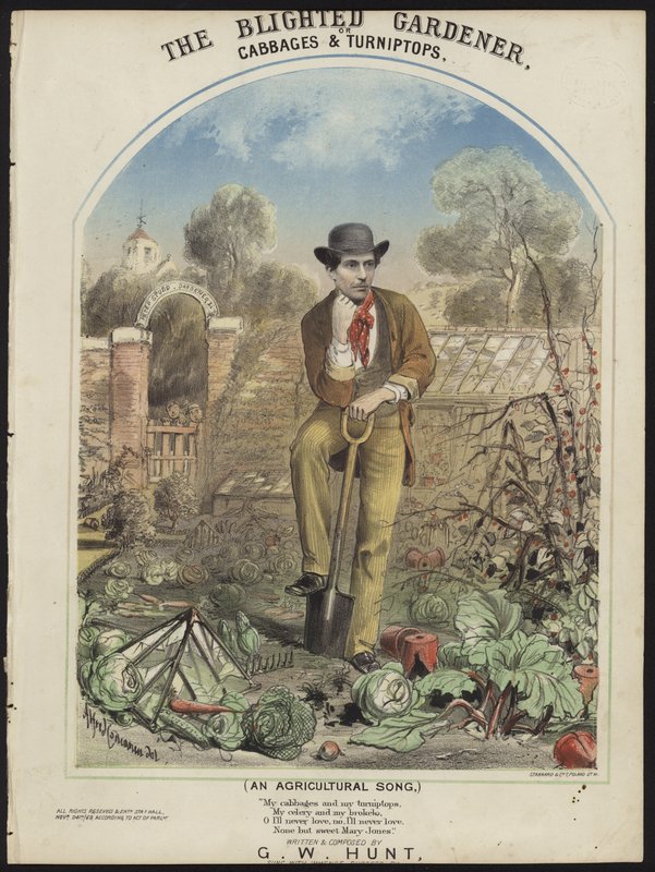 Le jardinier flétri - Alfred Concanen