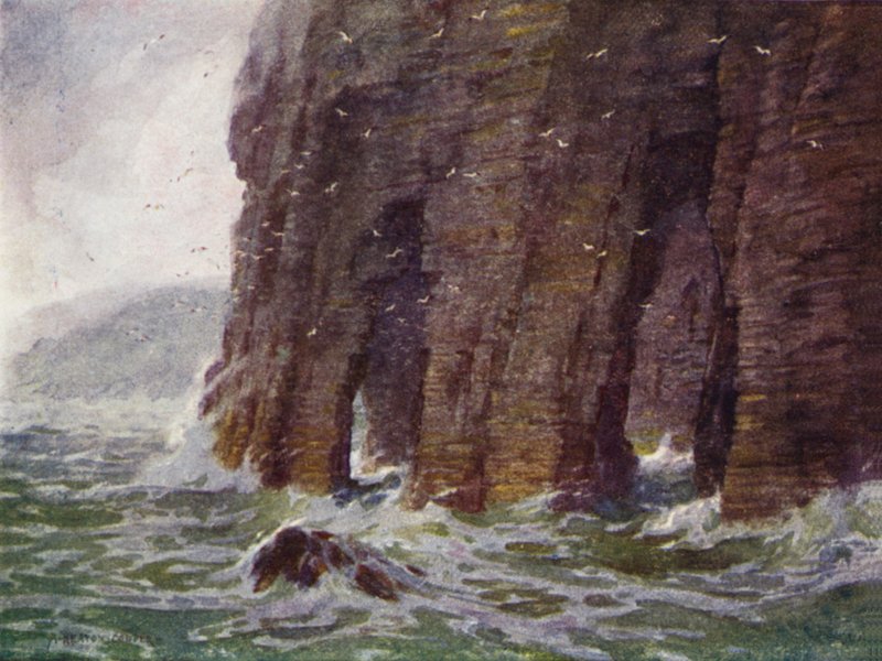 Falaises de la cathédrale, île d