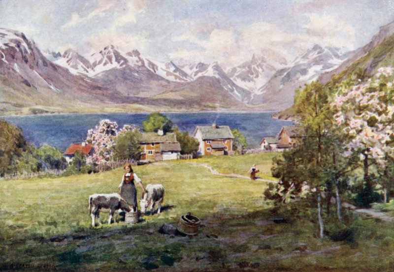 Romsdalfjord, de Naes - Alfred Heaton Cooper