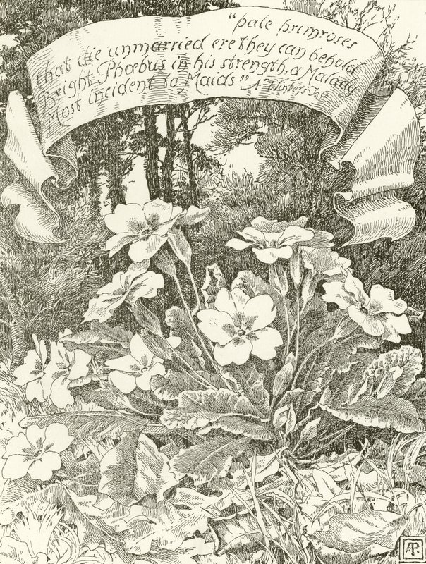 Pâles primevères - Alfred Parsons