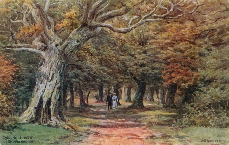 Repaire de la Reine près de Brockenhurst - Alfred Robert Quinton
