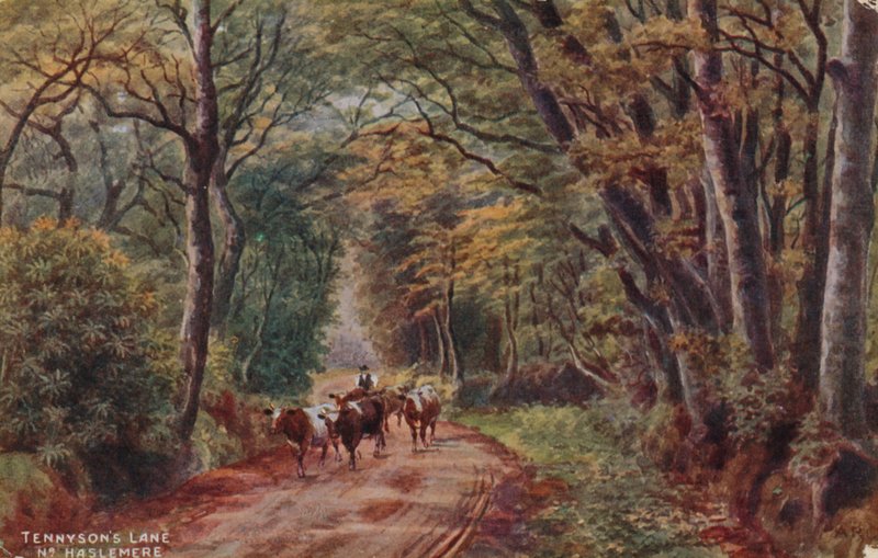 Le chemin de Tennyson près de Haslemere - Alfred Robert Quinton