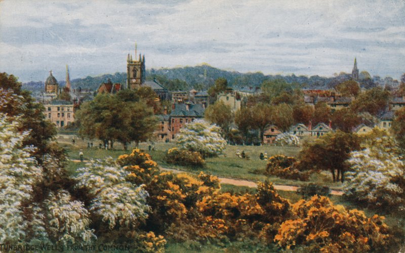 Tunbridge Wells depuis The Common - Alfred Robert Quinton