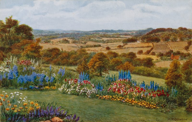 Vue d