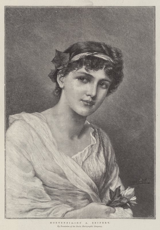 Hortensia - Alfred Seifert