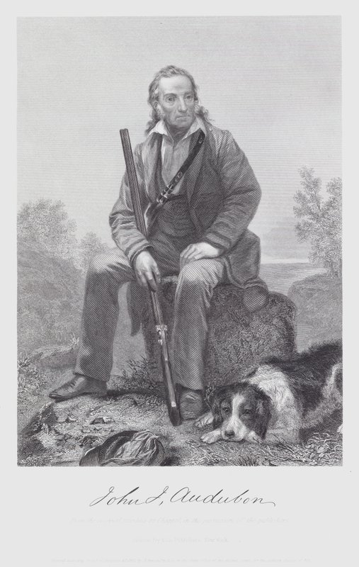 John James Audubon - Alonzo (after) Chappel