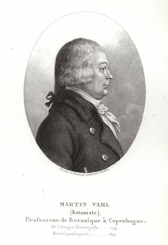 Martin Vahl - Ambroise Tardieu