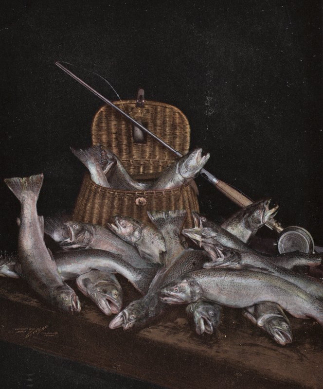 Oregon : Pêche - American Photographer (after)