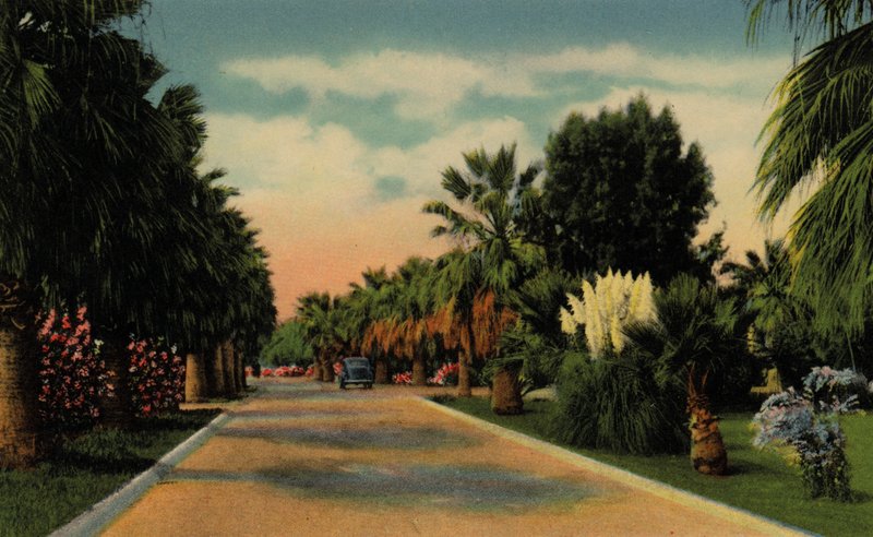 Phoenix, Arizona : Parc du Country Club - American Photographer (after)